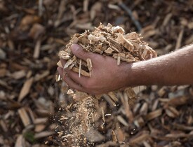 Dřevní štěpka (Zdroj: Shutterstock)