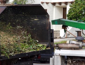 Výroba zelené štěpky (Zdroj: Shutterstock)