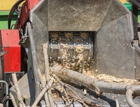 Výroba hnědé štěpky (Zdroj: Shutterstock)