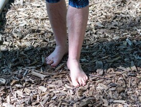 Štěpkou lze mulčovat i cesty (Zdroj: Shutterstock)