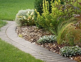 Okrasná mulč ze štěpky (Zdroj: Shutterstock)
