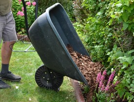 Mulčování štěpkou je jednoduché (Zdroj: Shutterstock)
