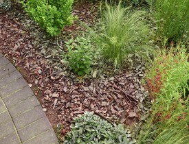 Okrasná mulč ze štěpky s vysokým podílem kůry (Zdroj: Shutterstock)
